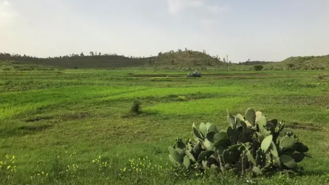 ከራማት ኤርትራ 2020