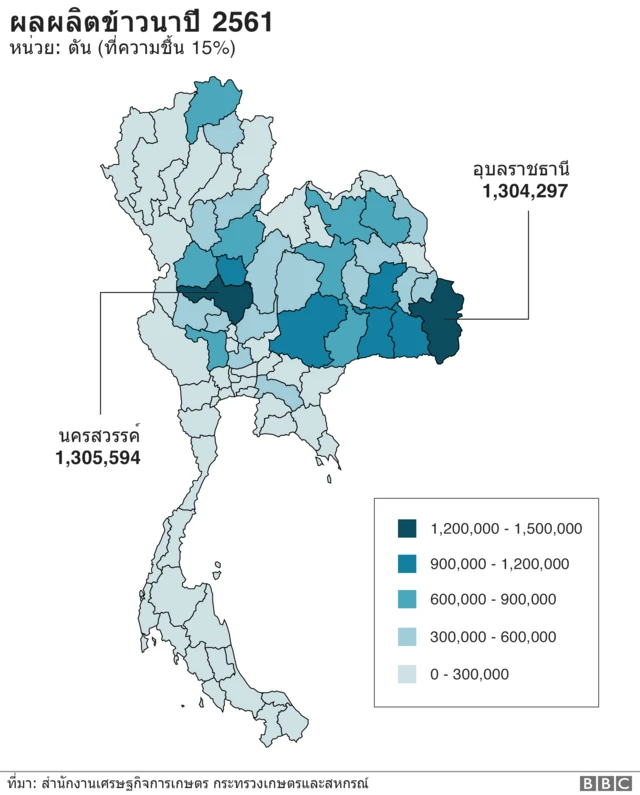 ผลผลิตข้าวนาปี 2561