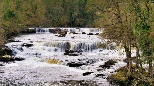 Aysgarth Falls and riverbed run dry due to heatwave and low rainfall - BBC  News