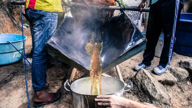 Preparação do chápirâmide jogo de azarayahuasca na Amazônia