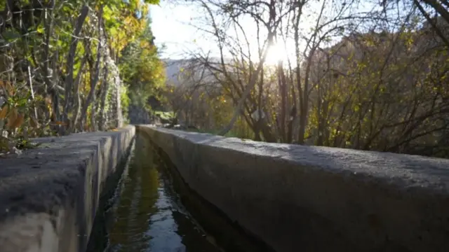 अल सोगारा