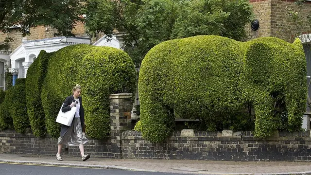 Живая изгородь в Лондоне