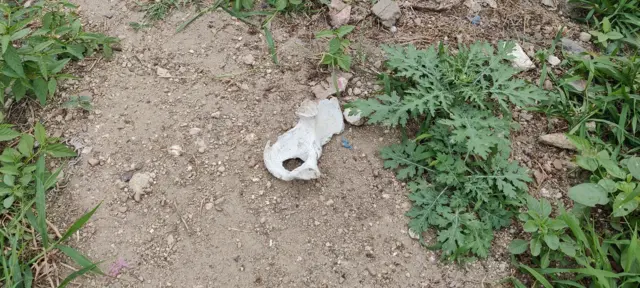 திருப்பூர் மயான சர்ச்சை