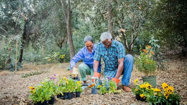 Aktivitas seperti berkebun direkomendasikan untuk meningkatkan kekuatan dan kebugaran Anda.