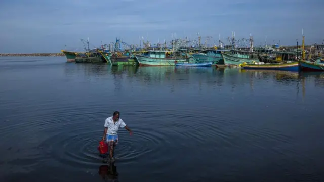 சென்னையில் ஆலிவ் ரிட்லி ஆமைகள் இறந்து கரை ஒதுங்குவது ஏன்?  