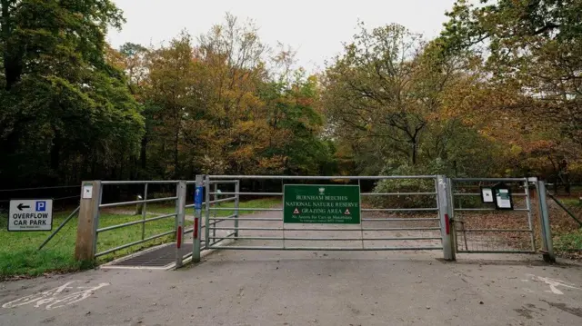 Una puerta con un cartel que dice "Reserva Natural Nacional Burnham Beeches". Hay una puerta más pequeña a la derecha para peatones y otra pequeña a la izquierda con una rejilla para ganado para ciclistas. A la izquierda hay un cartel que dice "aparcamiento adicional". Al fondo se ve un bosque y parece otoño, con muchas hojas en el suelo.