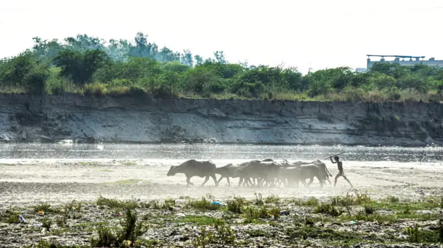 গরমে কৃষিকাজ ব্যাহত হওয়ার কথা জানাচ্ছেন অনেকে