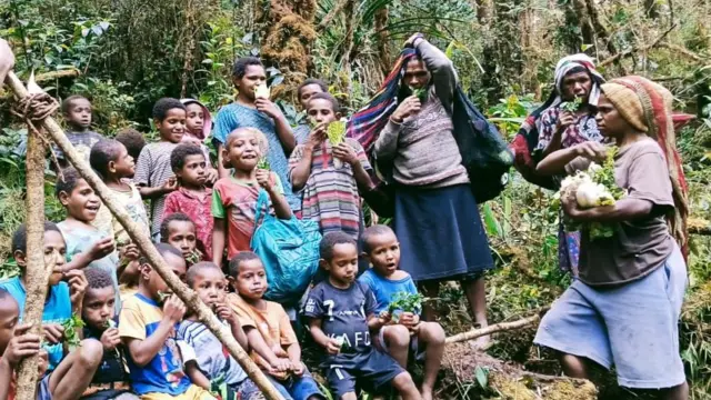 Konflik Papua: Ratusan warga Pegunungan Bintang mengungsi usai ...