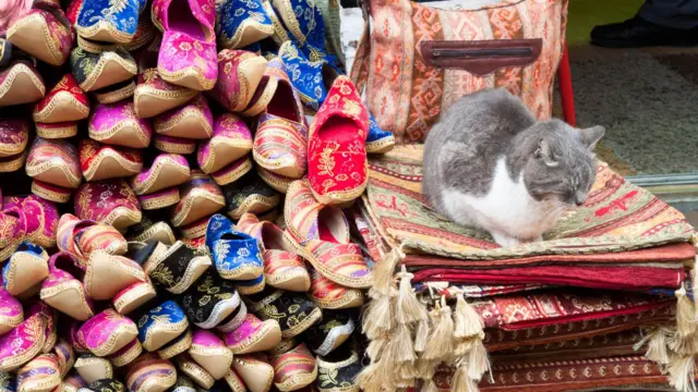 Kot śpiący wśród pamiątek i butów w sklepie z pamiątkami na Wielkim Bazarze w Stambule, Turcja.