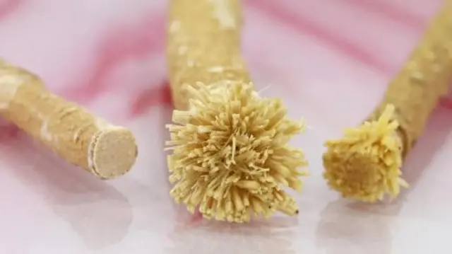 బ్రషింగ్