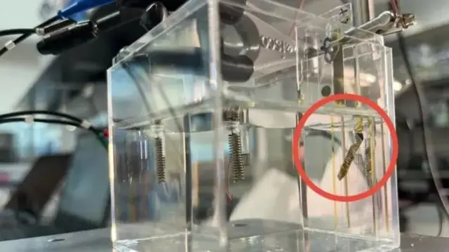 Umeme umetumika kwa muda mrefu kutibu magonjwa mengi
