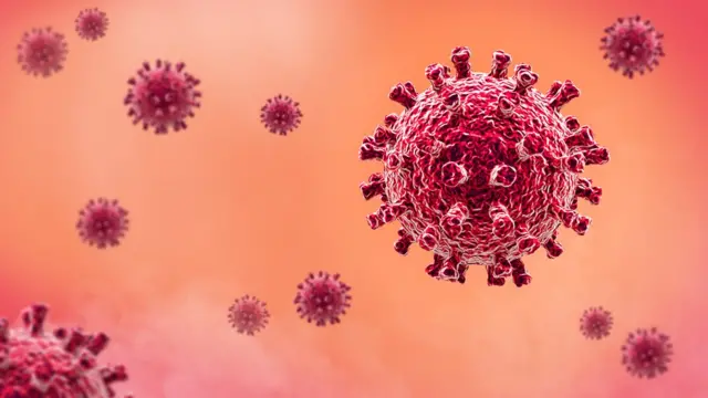 Coronavirus bacteria