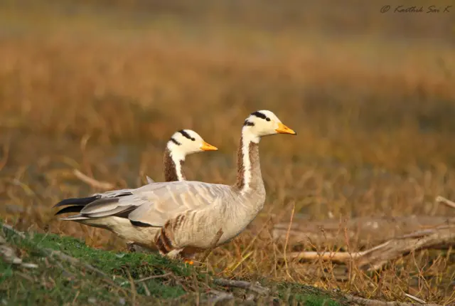 వరల్డ్ ఫొటోగ్రఫీ డే 