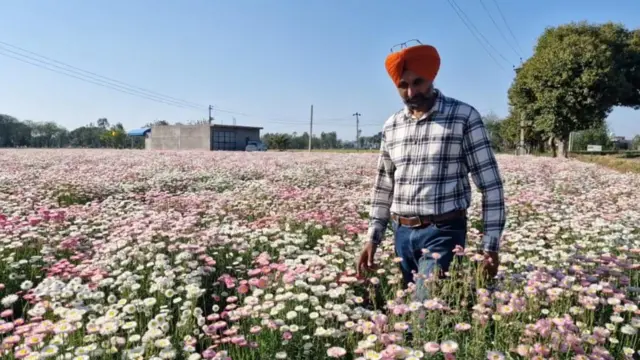 ਗੁਰਵਿੰਦਰ ਸਿੰਘ