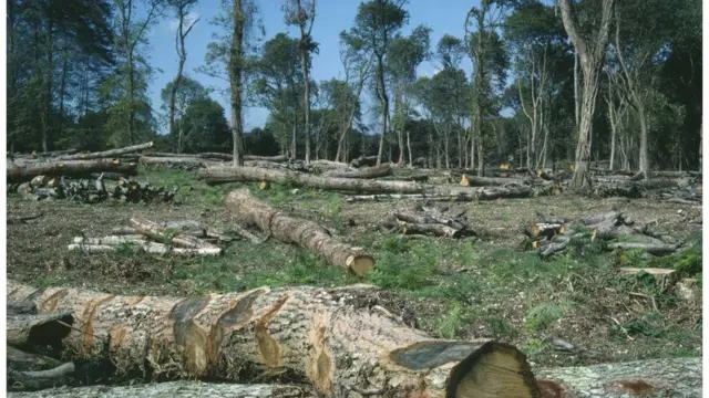 అమెజాన్, అత్యంత ఒంటరి మానవుడు