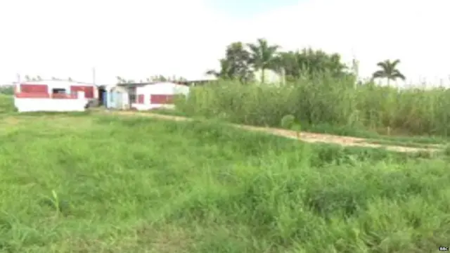 दलविंदर यांचं पिग फार्म