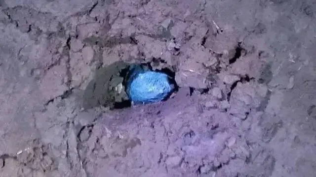 Sibiila godina Jimmaatti bu'e jedhame keessaa tokko