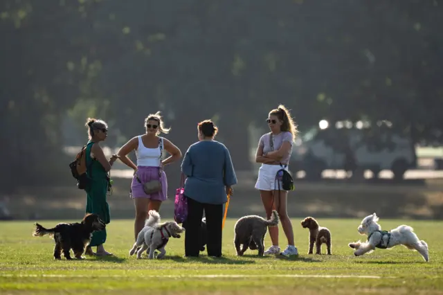 Ludzie wyprowadzający psy na Tooting Bec Common w Londynie.
