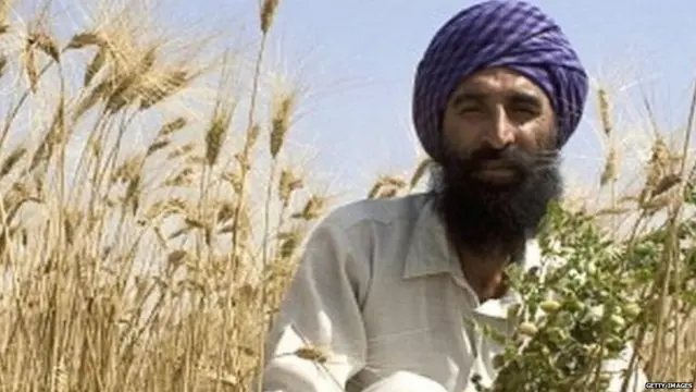 ਖ਼ੇਤੀ