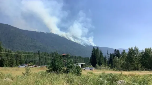 जंगल में आग.