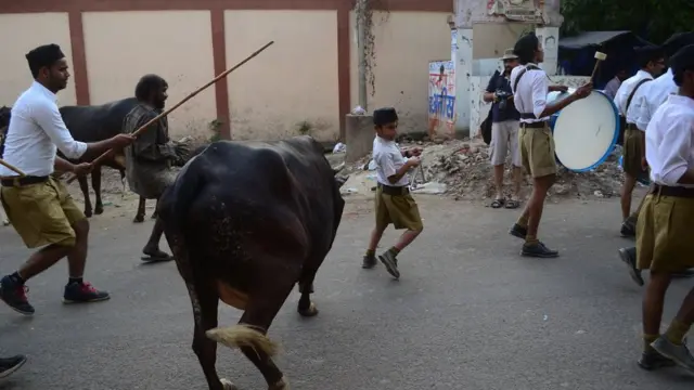 गोरक्षा और गाय