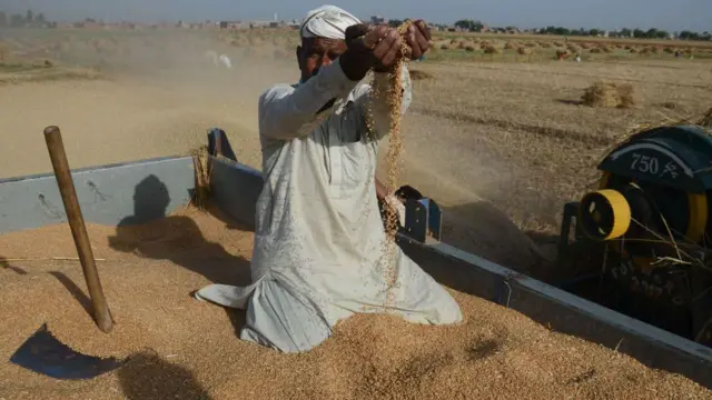 ਪਾਕਿਸਤਾਨ ਕਿਸਾਨ