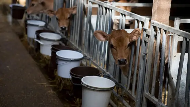 ડેરીઉદ્યોગ