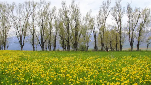જળવાયુ પરિવર્તન