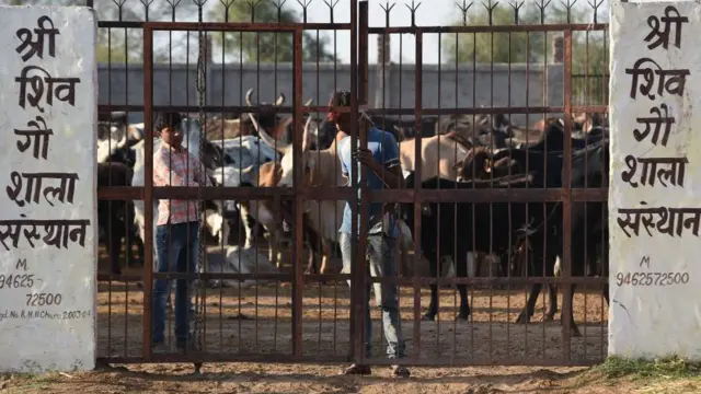 இந்தியா, பாகிஸ்தான், நிர்மலா சீதாராமன்