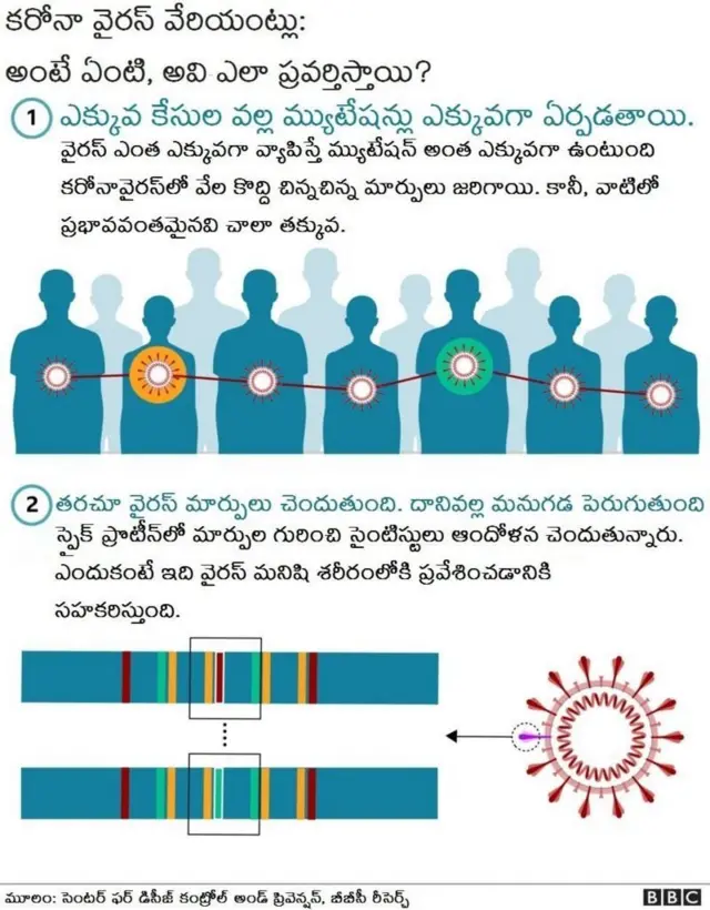 ఒమిక్రాన్ ఎక్కువమందికి వ్యాప్తి చెందితే ఎక్కువ మార్పులు జరిగి వేరియంట్లు పెరగవచ్చు