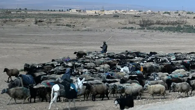 فاریاب