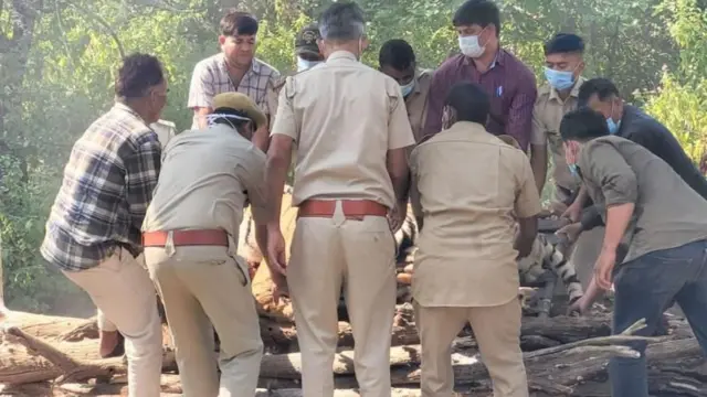 ராஜஸ்தான் ரந்தம்பூர் - புலிகள் காப்பகம் - இந்தியா 