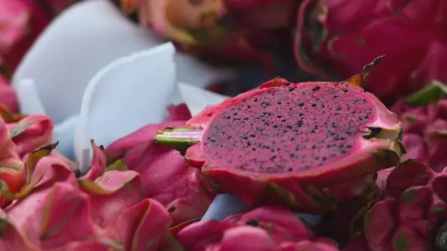 ड्रैगन फ्रूट