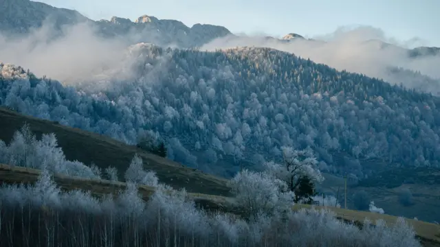 Mgła unosi się nad lasami ośnieżonych Karpat. Na pierwszym planie znajduje się zalesione zbocze wzgórza z zielonymi pastwiskami. Na drugim planie skaliste szczyty gór. 
