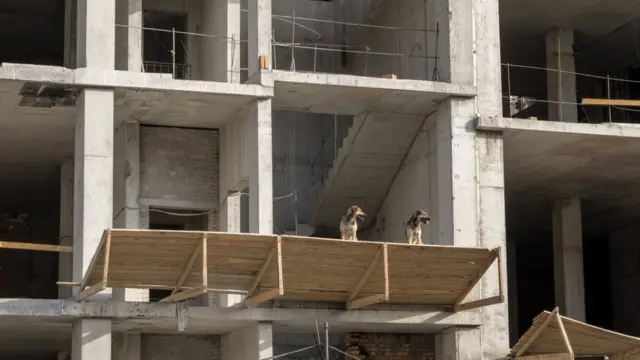 новобудова