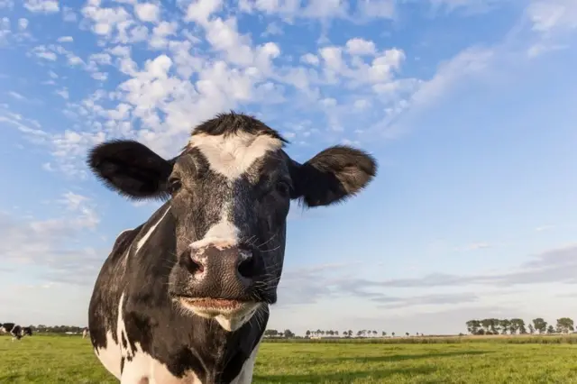 પર્યાવરણ