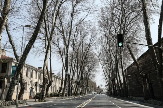 İstanbul Beşiktaş'taki Çırağan Caddesi tarihi çınarlarıyla ünlü