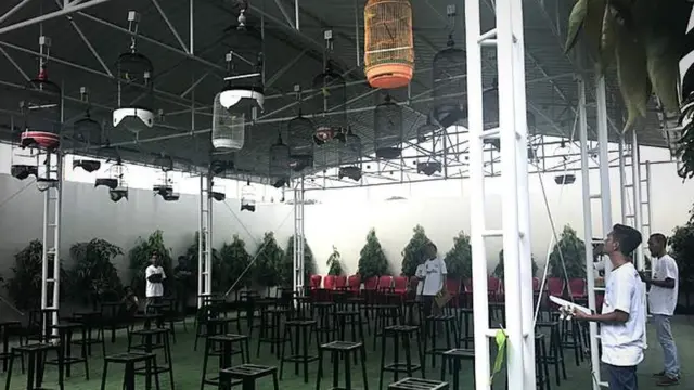 Competencia de aves cantoras