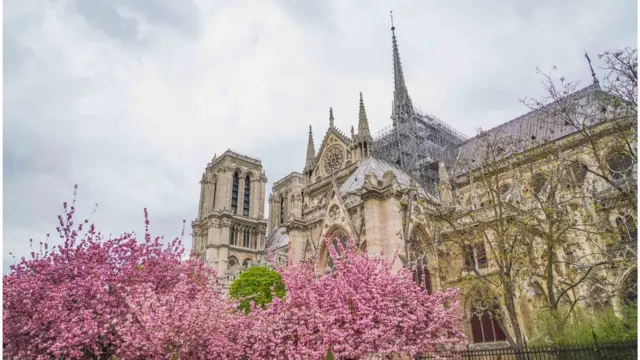 매년 수백만 명 이상의 관광객이 찾는 노트르담 대성당의 사고 전 모습