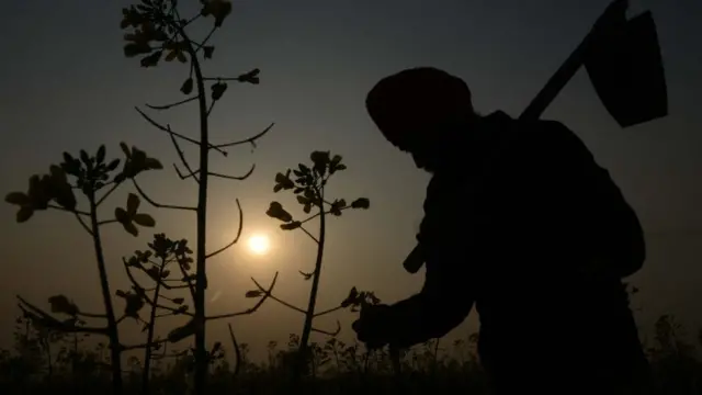 साकेंतिक तस्वीर