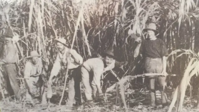 વૂલગૂલગા હેરિટેજ વૉક પર લાગેલી તસવીર