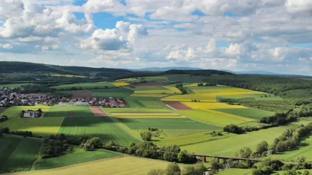 "С высоты птичьего полета"