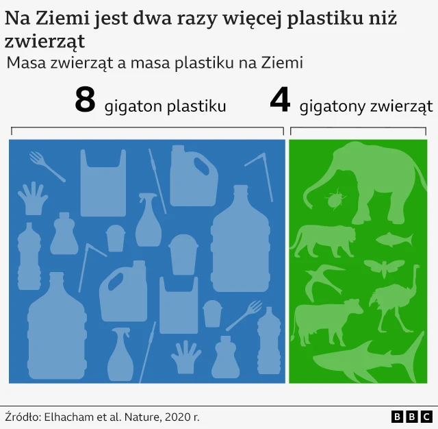 Wykres przedstawiający 4 gigatony zwierząt w porównaniu do 8 gigaton plastiku na świecie.