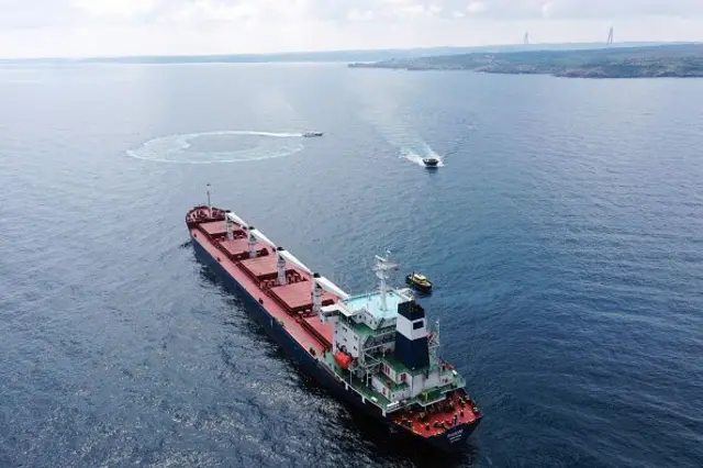 перевірка судна у Босфорі