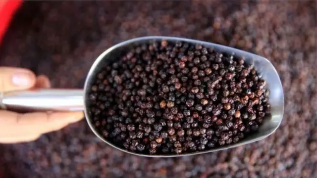 முசிறி துறைமுகம், கேரளா