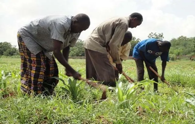 BEERALAYDA SOOMAALIYEED 