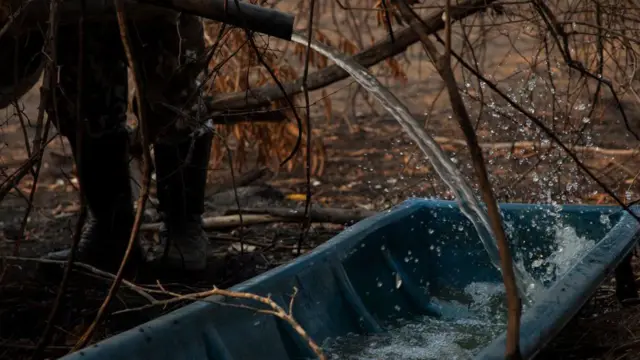 पानी की समस्या का एक कारण कृषि उद्योग भी है क्योंकि खेती में विश्व का 70 प्रतिशत पानी इस्तेमाल हो जाता है