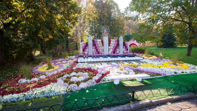 Виставка квітів