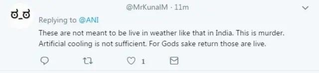 पेंग्विन