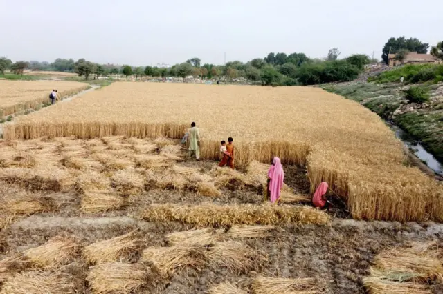 علامتی تصویر 